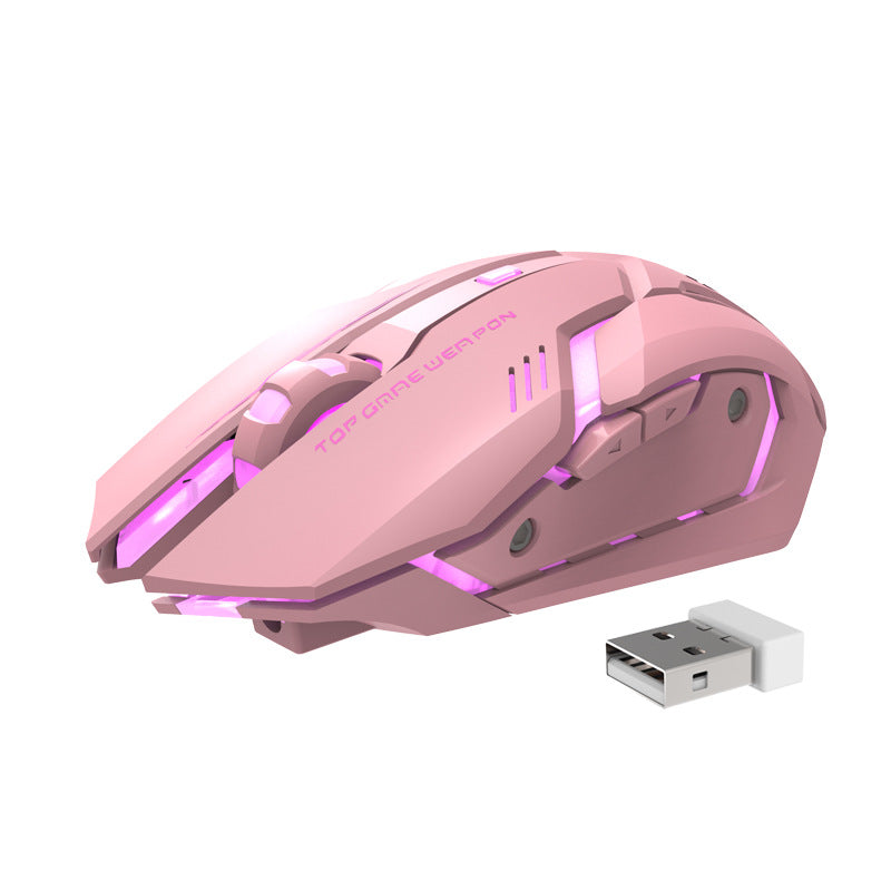 Wireless Silent Gaming Mouse with RGB Lighting – Rechargeable 2.4G Ergonomic USB Mouse for PC, Laptop & Office Use