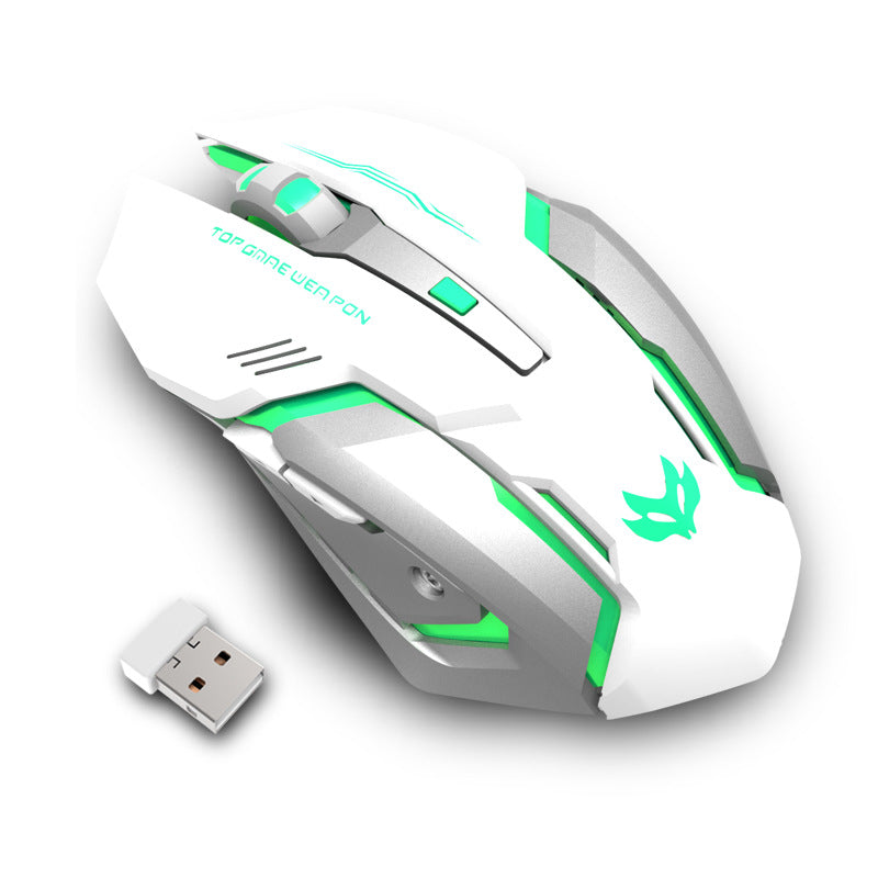 Wireless Silent Gaming Mouse with RGB Lighting – Rechargeable 2.4G Ergonomic USB Mouse for PC, Laptop & Office Use