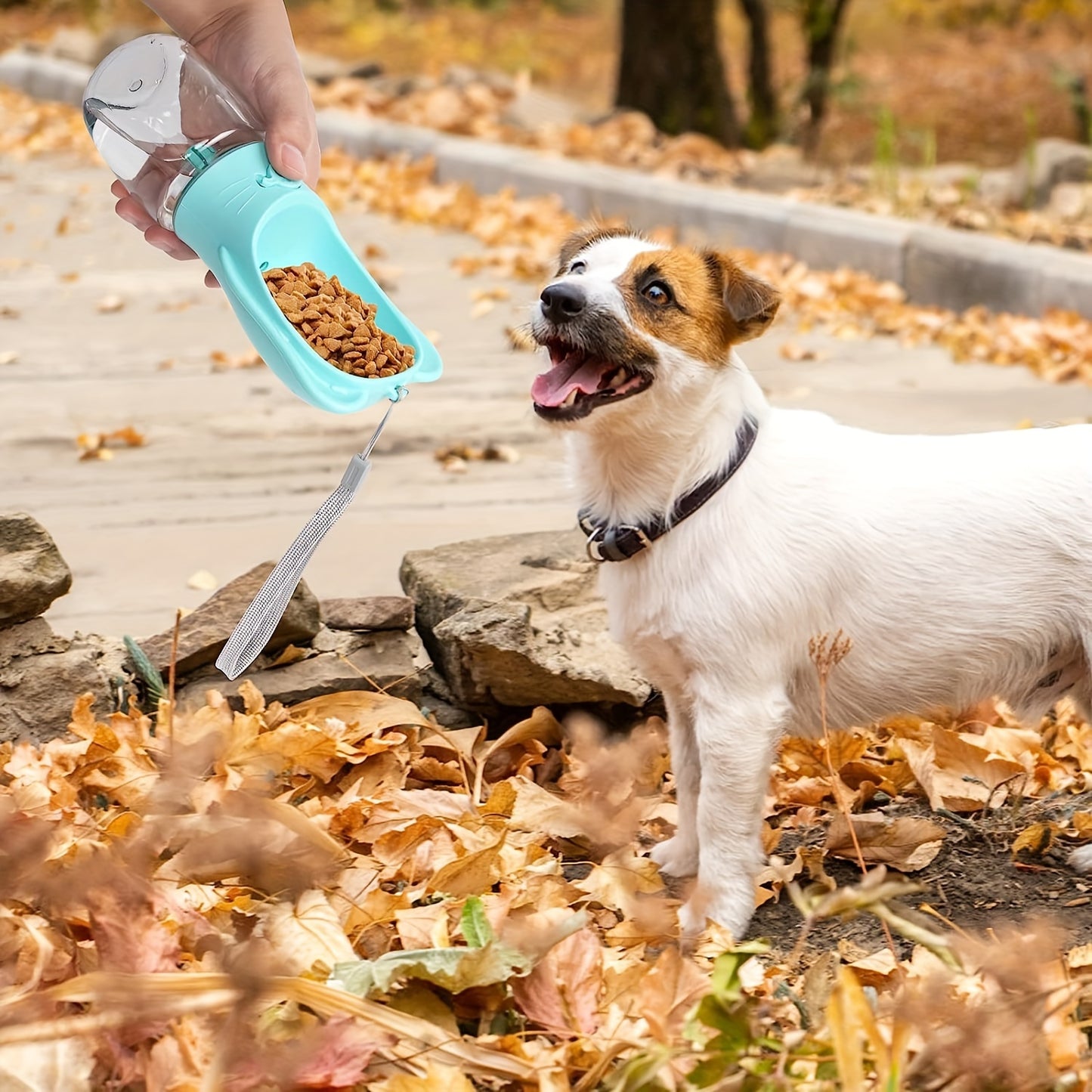 Travel-Ready Dog Water Bottle & Food Container