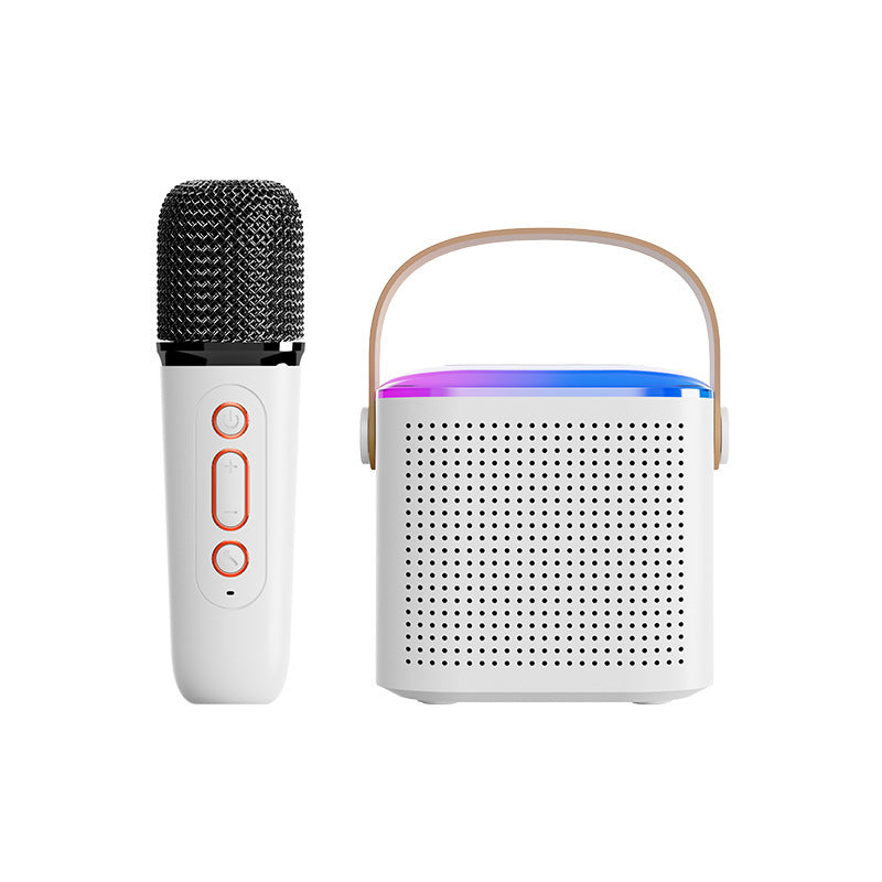2-Mic Bluetooth Karaoke Speaker with Light Show