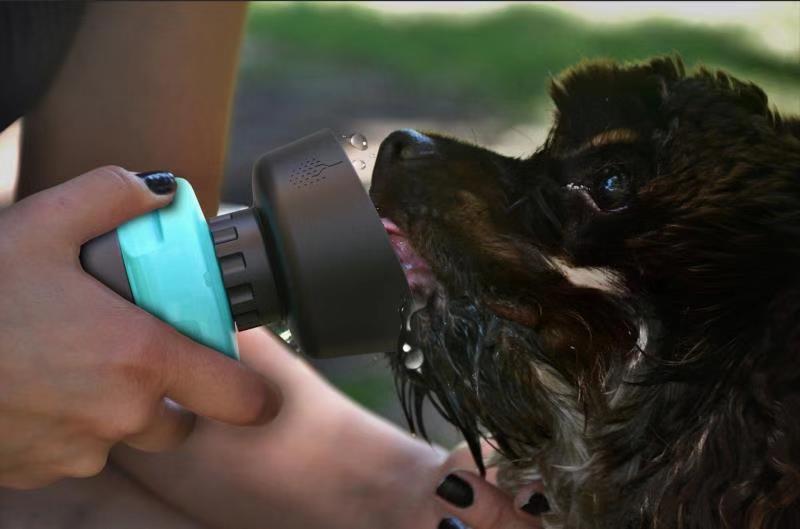Foldable Pet Travel Water Bottle