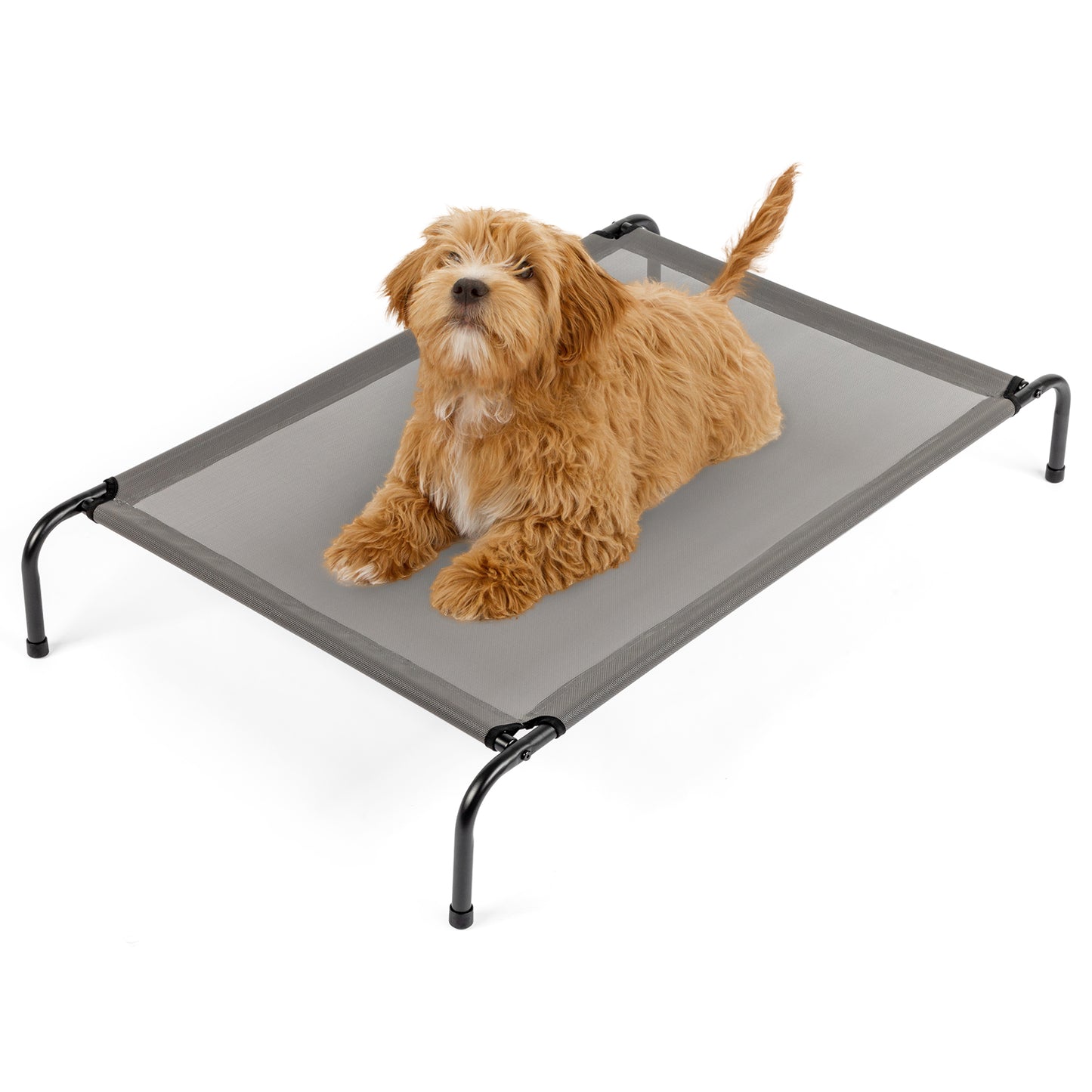 Breathable Elevated Dog Bed – Outdoor & Indoor Pet Lounger (Alloy + Mesh)
