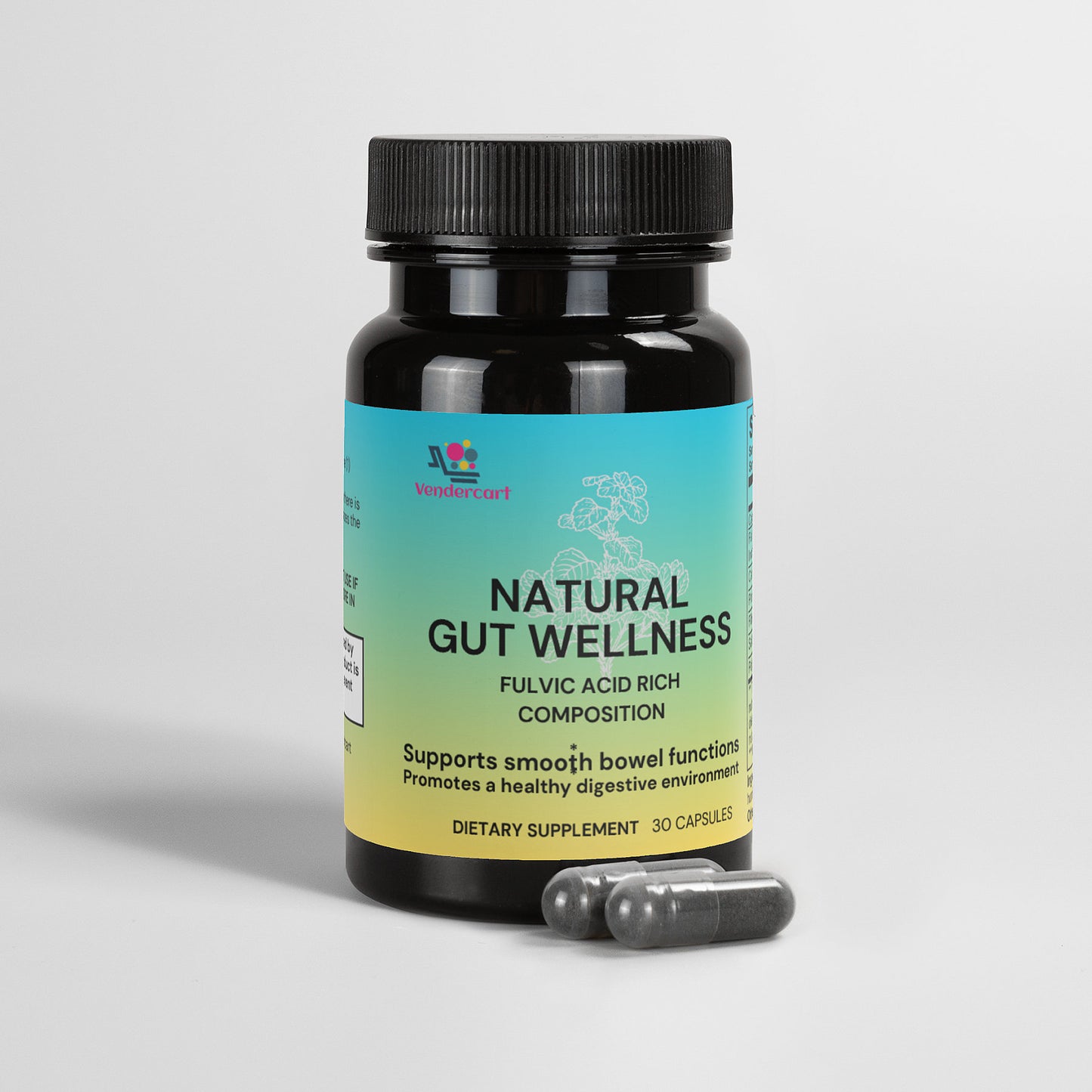 Natural Gut Wellness Capsules — Digestive Support & Nutrient Absorption Aid