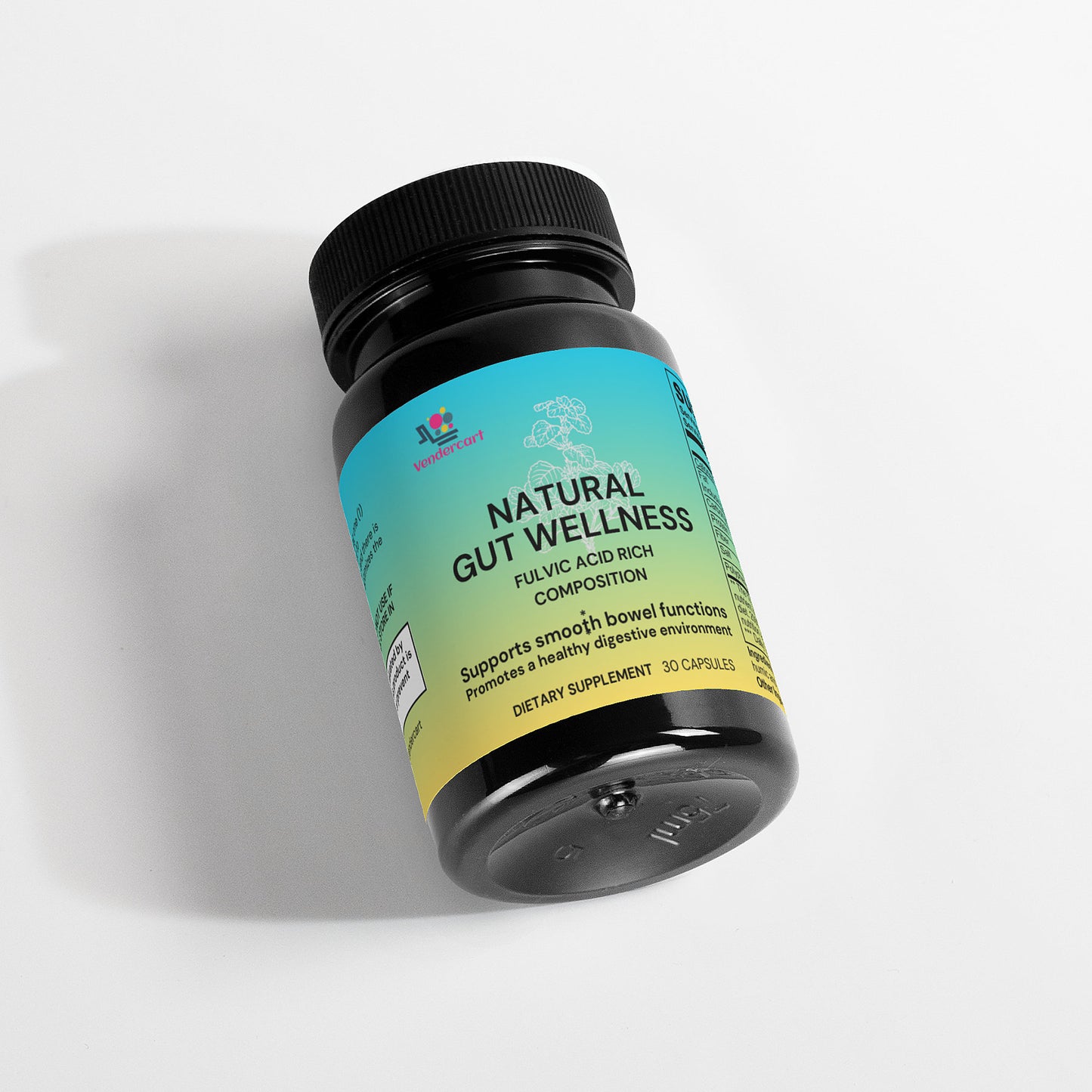 Natural Gut Wellness Capsules — Digestive Support & Nutrient Absorption Aid