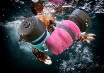 Foldable Pet Travel Water Bottle