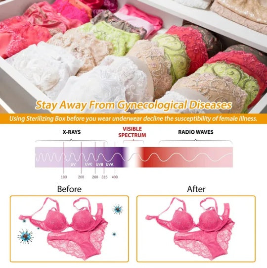 Portable Sanitizing UV Disinfection Bag