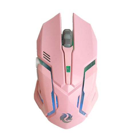 Wireless Silent Gaming Mouse with RGB Lighting – Rechargeable 2.4G Ergonomic USB Mouse for PC, Laptop & Office Use
