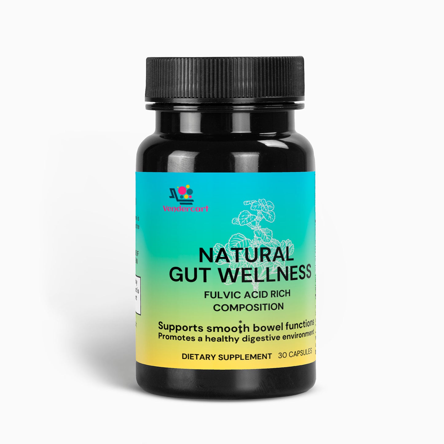 Natural Gut Wellness Capsules — Digestive Support & Nutrient Absorption Aid