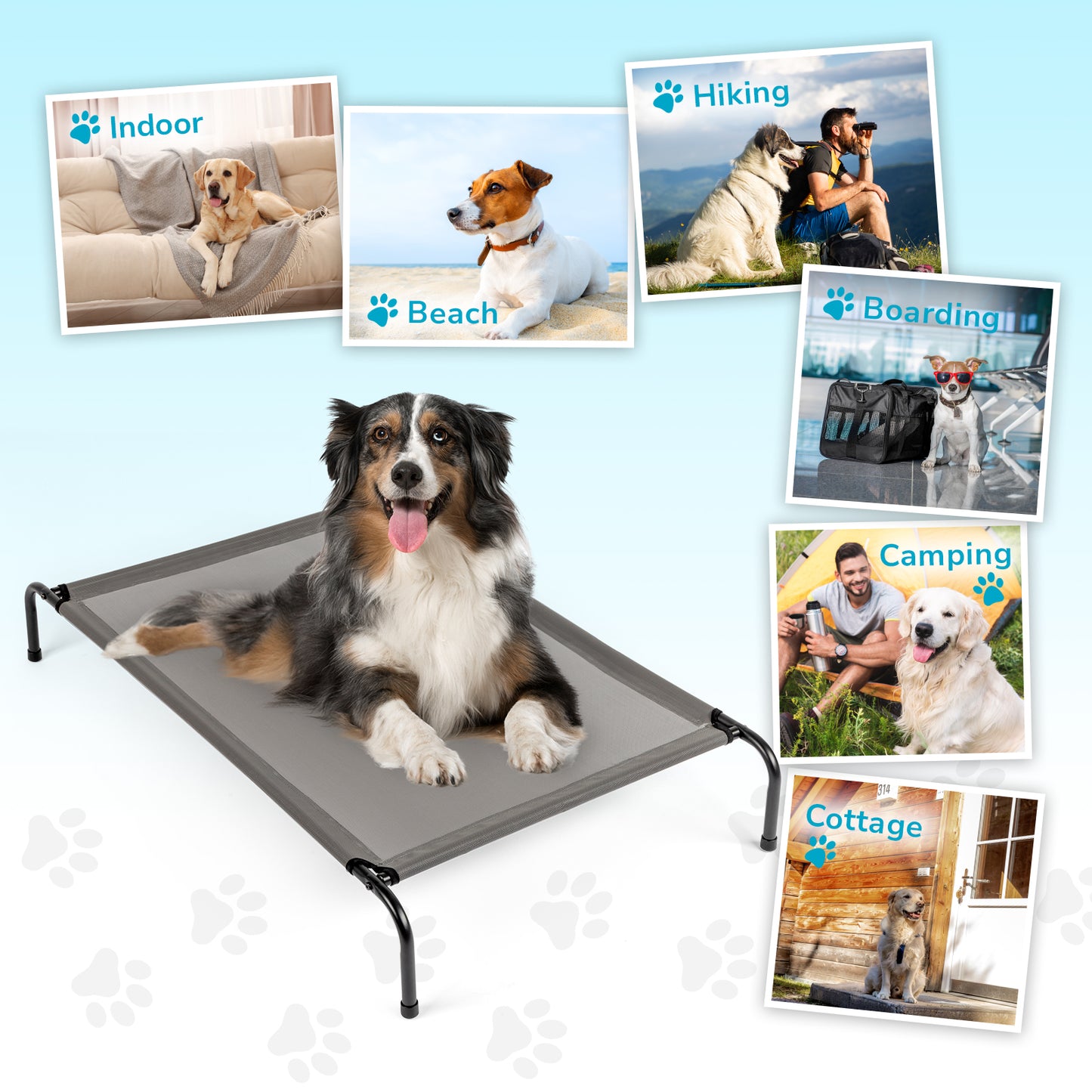 Breathable Elevated Dog Bed – Outdoor & Indoor Pet Lounger (Alloy + Mesh)