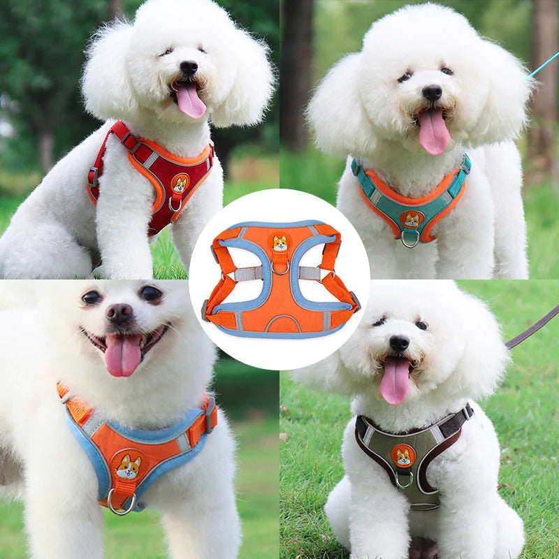 New Dog Leash And Harness Set