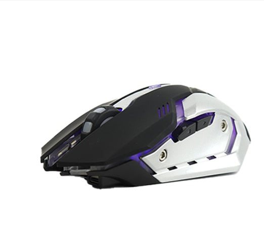 Wireless Silent Gaming Mouse with RGB Lighting – Rechargeable 2.4G Ergonomic USB Mouse for PC, Laptop & Office Use